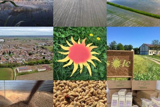 Al Parco Nord Milano al via la XIX edizione del Festival della Biodiversità  con iniziative incentrate sulla tutela del territorio