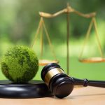 L'assessore all'Ambiente e Clima di regione Lombardia, Giorgio Maione, commenta l'approvazione della Legge sul Clima in Consiglio regionale