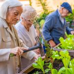 L'assessore alla Famiglia, Solidarietà sociale, Disabilità e Pari opportunità della Regione Lombardia, Elena Lucchini, ha presentato a Mantova i risultati e i percorsi finanziati dalla misura, tra cui 'Orto fruttuoso', che promuove l'invecchiamento attivo e favorisce il patto tra generazioni.
