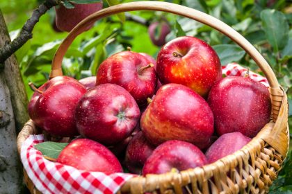 Mele della Valtellina, la Regione conferma l'impegno per il rilancio del comparto colpito dalla crisi della cooperativa Melavì