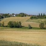 Oltrepò Pavese, sulla cantina sociale le precisazioni dell'assessore regionale Beduschi