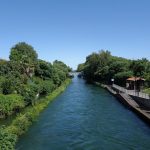 Parco del Ticino (scorcio)