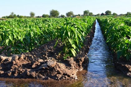 In Lombardia la stagione irrigua per l'agricoltura è sotto controllo