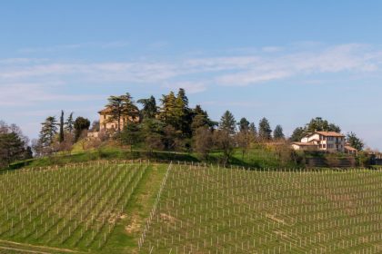 Si è insediato ufficialmente il commissario Luigi Zingone, nominato per la gestione della Cantina Terre d’Oltrepò