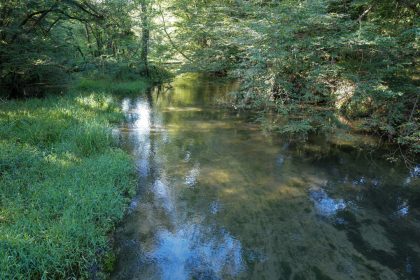 Approvato lo schema di accordo tra Regione Lombardia e Parco del Ticino a tutela delle brughiere del Gaggio (nella foto uno scorcio) e del Campo della Promessa 