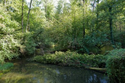 Approvato lo schema di accordo tra Regione Lombardia e Parco del Ticino a tutela delle brughiere del Gaggio (nelle immagini uno scorcio)