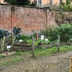 fattorie didattiche lombardia
