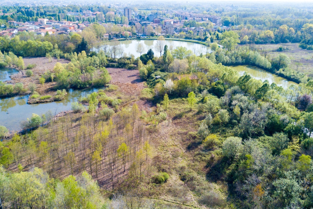 Una foto dall’alto del Parco delle Groane, in località Ceriano Laghetto, al centro dell'incontro fra l'assessore La Russa e i comandanti delle polizie locali