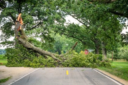 A sostegno dei Comuni di Blevio e Torno (Como) colpiti dalle recenti ondate di maltempo (foto di un albero caduto sulla strada) Regione Lombardia  ha stanziato di 1.918.000 euro.