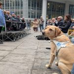 Cani guida non vedenti Lombardia