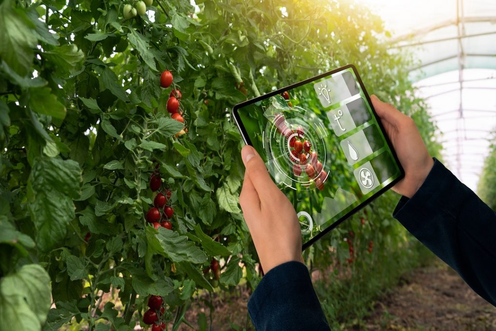 Tanta innovazione e tanti giovani protagonisti degli Oscar Green 2025 di Coldiretti Lombardia alle cui premiazioni ha partecipato l'assessore Alessandro Beduschi
