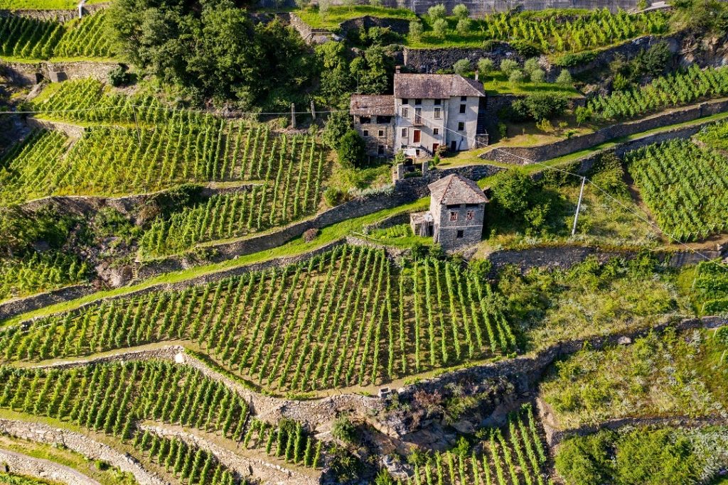 Per l'agricoltura di montagna e le foreste della Lombardia findi per 60 milioni nel biennio 2025-2026
