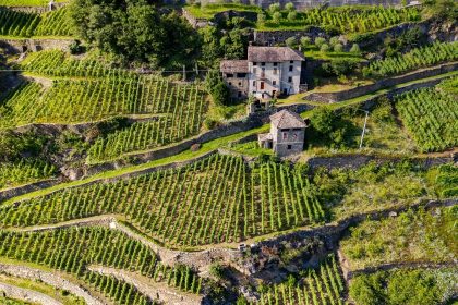 Per l'agricoltura di montagna e le foreste della Lombardia findi per 60 milioni nel biennio 2025-2026
