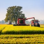 Il Rapporto Regione e Unioncamere sull'agricoltura della Lombardia nel primo semestre 2025 registra dati positivi