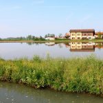 In Lomellina il primo riso TEA della Lombardia che si candida a sperimentazioni per vite e mais