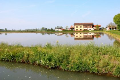 In Lomellina il primo riso TEA della Lombardia che si candida a sperimentazioni per vite e mais