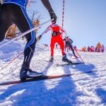 foto di uno sciatore per dare l'idea delle olimpiadi uno dei temi insieme alle politiche di coesione della riunione di arge alp a trento