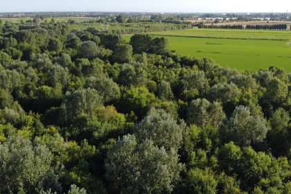 Veduta aerea della foresta della Carpaneta per cui Regione Lombardia ha approvato le attività di manutenzione