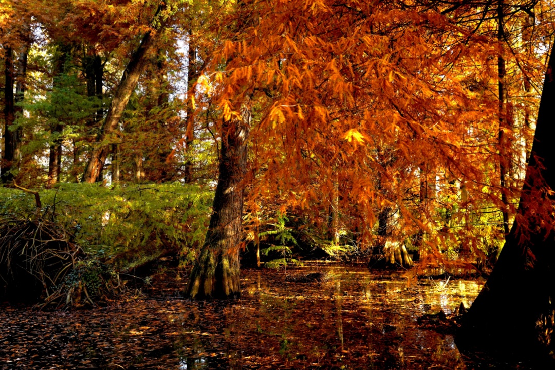 'Parchi lombardi per tutti' è il nuovo ebook gratuito e costantemente aggiornato, dedicato all’accessibilità delle aree protette regionali.