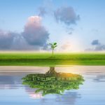 immagine generica di zone green per dare idea di risorse stanziate da regione lombardia per iniziative di bonifica