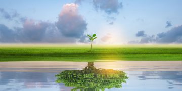 immagine generica di zone green per dare idea di risorse stanziate da regione lombardia per iniziative di bonifica