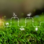 Regione Lombardia ha approvato la graduatoria del bando per ridurre dipendenze strategiche da materie prime critiche e aumentarne il recupero. Foto simbolica di economia circolare verde