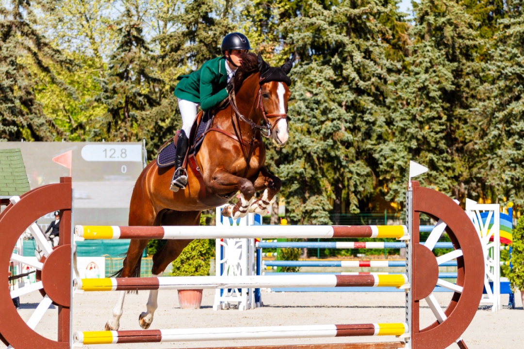 Approvate le graduatorie per il secondo trimestre del bando di Regione Lombardia  a sostegno delle manifestazioni sportive sul territorio , equitazione (in foto) compresa.