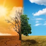 La Giunta di Regione Lombardia ha approvato, l'aggiornamento della Strategia regionale integrata per l’adattamento ai cambiamenti climatici