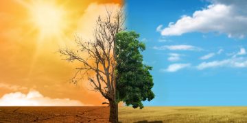 La Giunta di Regione Lombardia ha approvato, l'aggiornamento della Strategia regionale integrata per l’adattamento ai cambiamenti climatici