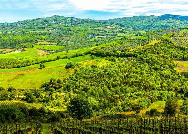 Agricoltura montana. Beduschi: 7,3 milioni per viabilità forestale