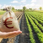 anticipo pac agricoltura