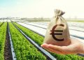 Per l'agroalimentare ecco 'Agrifood Basket Bond' dal 12 gennaio 2026