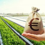Per l'agroalimentare ecco 'Agrifood Basket Bond' dal 12 gennaio 2026