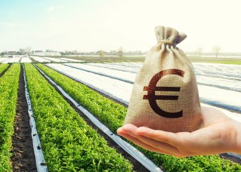 Per l'agroalimentare ecco 'Agrifood Basket Bond' dal 12 gennaio 2026