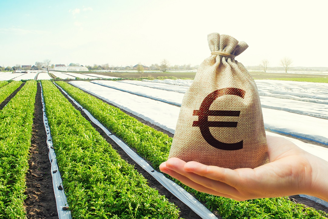 Per l'agroalimentare ecco 'Agrifood Basket Bond' dal 12 gennaio 2026
