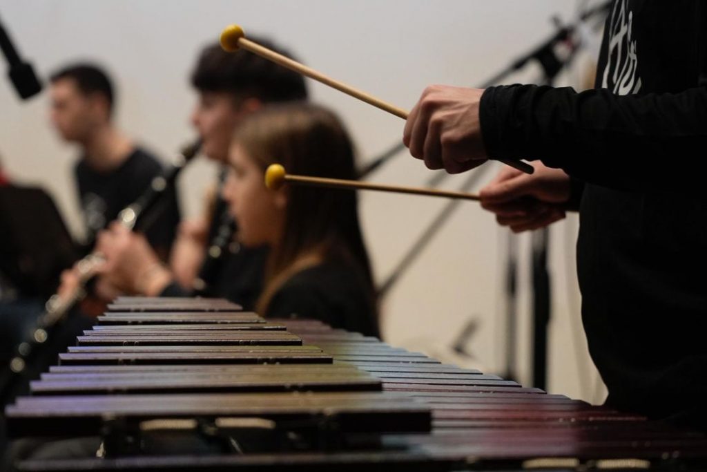 disabilità regione festival