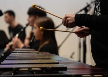 disabilità regione festival