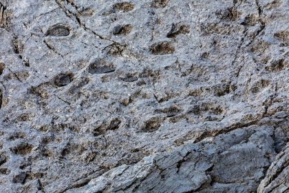 Triassic Park in Lombardia, la storia fa un regalo alle Olimpiadi.