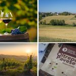 Vigneti e immagini dell'Oltrepò Pavese, sulla cantina Terre d'Oltrepò incontro in Regione, promosso dall'assessore Beduschi, per dire stop alle speculazioni