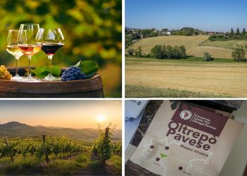 Vigneti e immagini dell'Oltrepò Pavese, sulla cantina Terre d'Oltrepò incontro in Regione, promosso dall'assessore Beduschi, per dire stop alle speculazioni