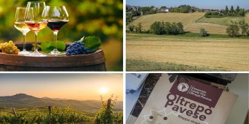 Vigneti e immagini dell'Oltrepò Pavese, sulla cantina Terre d'Oltrepò incontro in Regione, promosso dall'assessore Beduschi, per dire stop alle speculazioni