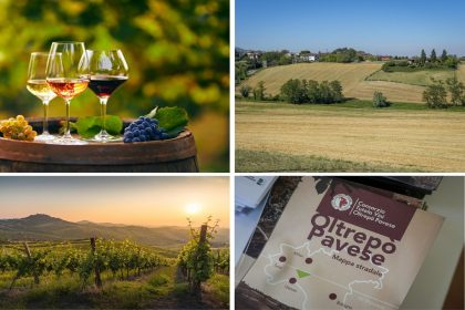 Vigneti e immagini dell'Oltrepò Pavese, sulla cantina Terre d'Oltrepò incontro in Regione, promosso dall'assessore Beduschi, per dire stop alle speculazioni