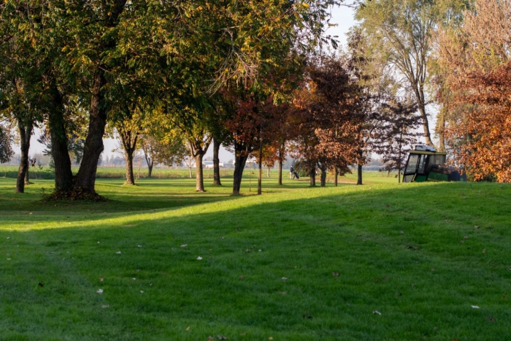 I progetti presentati da vincitori del contest 'Giornata del Verde Pulito 2025' testimoniano il ruolo chiave dei Comuni sui temi green. In foto immagine simbolica di un parco in Lombardia.