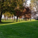 I progetti presentati da vincitori del contest 'Giornata del Verde Pulito 2025' testimoniano il ruolo chiave dei Comuni sui temi green. In foto immagine simbolica di un parco in Lombardia.