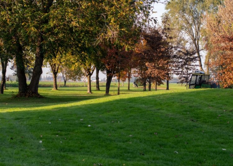 I progetti presentati da vincitori del contest 'Giornata del Verde Pulito 2025' testimoniano il ruolo chiave dei Comuni sui temi green. In foto immagine simbolica di un parco in Lombardia.