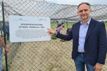 L'assessore Alessandro Beduschi all'inaugurazione del primo campo TEA di riso a Mezzana Bigli (Pavia)
