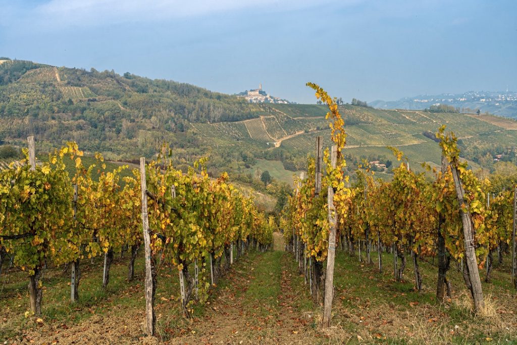 Vigneto del Pavese, a Palazzo Lombardia vertice sul futuro della cantina cooperativa Terre d'Oltrepò