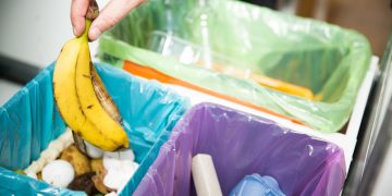 Immagine generica di raccolta differenziata in Lombardia con i positivi dati 2024