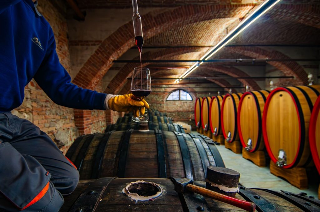 Debutta 'Millevini', nuova rassegna delle eccellenze vitivinicole promossa dalla