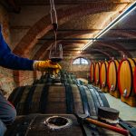 Debutta 'Millevini', nuova rassegna delle eccellenze vitivinicole promossa dalla